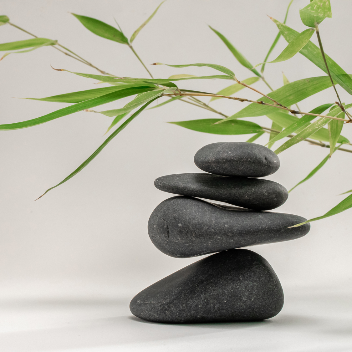 Schale mit roten Blüten